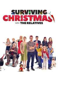 Surviving Christmas - Poster