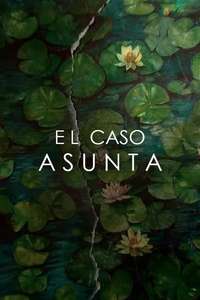 The Asunta Case - Posters