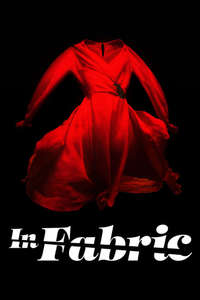 In Fabric - Poster