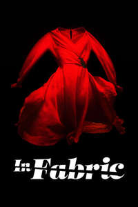 In Fabric - Poster