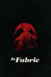 In Fabric - Poster