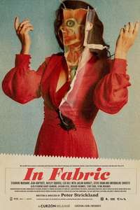 In Fabric - Poster