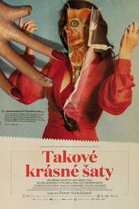 In Fabric - Poster