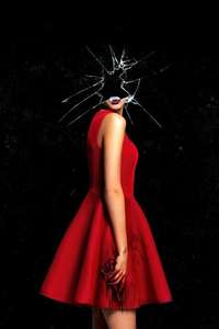In Fabric - Poster