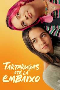 Turtles All the Way Down - Posters