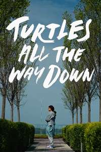 Turtles All the Way Down - Posters