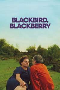 Blackbird Blackbird Blackberry - Posters