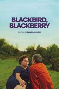 Blackbird Blackbird Blackberry - Posters