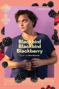 Blackbird Blackbird Blackberry - Posters