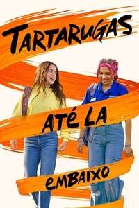 Turtles All the Way Down - Posters