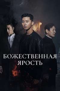 The Divine Fury - Poster