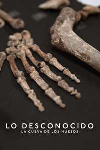 Unknown: Cave of Bones - Posters