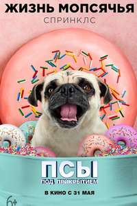 Show Dogs - Poster