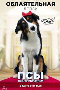 Show Dogs - Poster