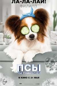 Show Dogs - Poster