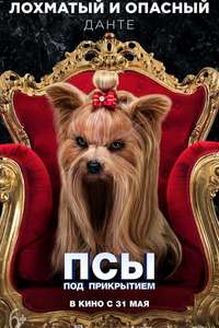 Show Dogs - Poster