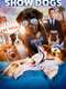 Show Dogs