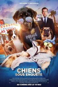 Show Dogs - Poster