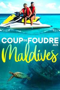 Love in the Maldives - Posters