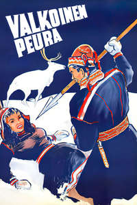 The White Reindeer - Posters