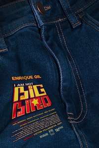 I Am Not Big Bird - Posters