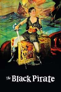 The Black Pirate - Posters