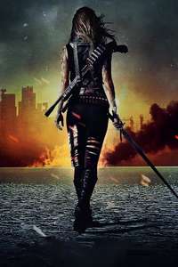 Van Helsing - Posters