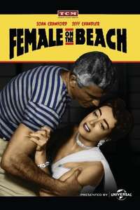 Female on the Beach - Poster