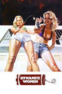 The Great Texas Dynamite Chase - Poster