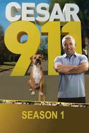 Cesar 911