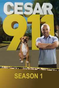Cesar 911 - Poster