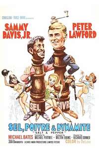 Salt & Pepper - Posters