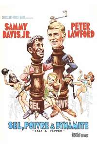 Salt & Pepper - Posters