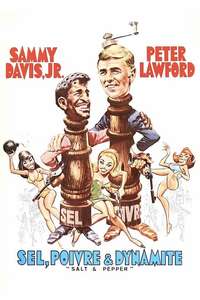 Salt & Pepper - Posters
