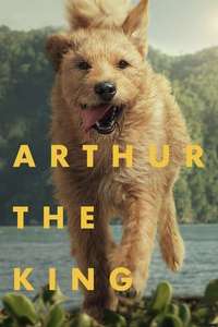 Arthur the King - Posters