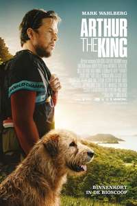 Arthur the King - Posters