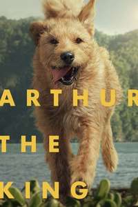 Arthur the King - Posters