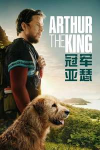 Arthur the King - Posters