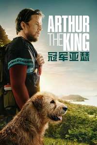 Arthur the King - Posters