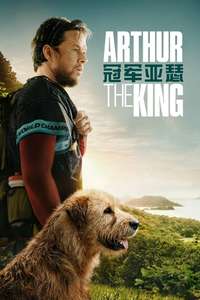 Arthur the King - Posters