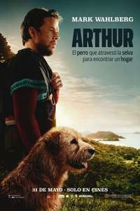 Arthur the King - Posters