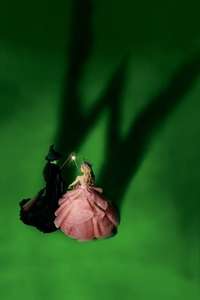 Wicked - Posters