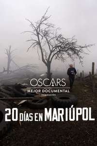 20 Days in Mariupol - Poster