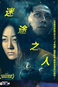 Stray - Poster