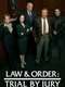 Law & Order: Trial by Jury