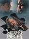 Missing Pieces