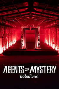 Agents of Mystery - Posters