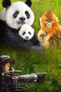 Expedition China - Poster