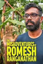 The Misadventures of Romesh Ranganathan Series 4