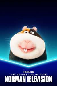 Norman Television - Poster